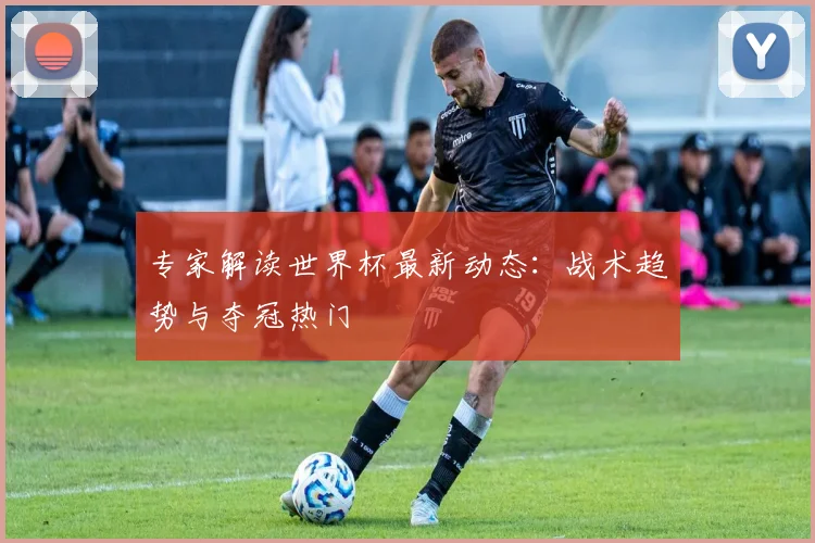 专家解读世界杯最新动态:战术趋势与夺冠热门